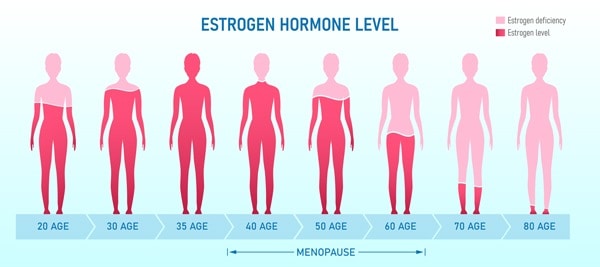 estrogen level woman